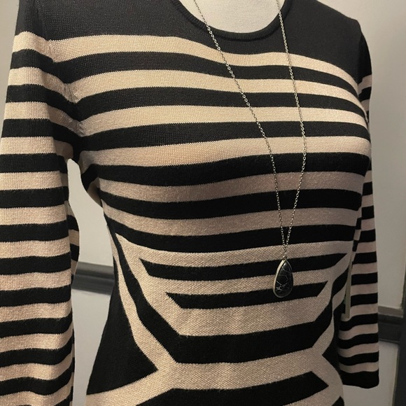 Black Stripe Form Fitting Sweater Dress - Picture 2 of 4